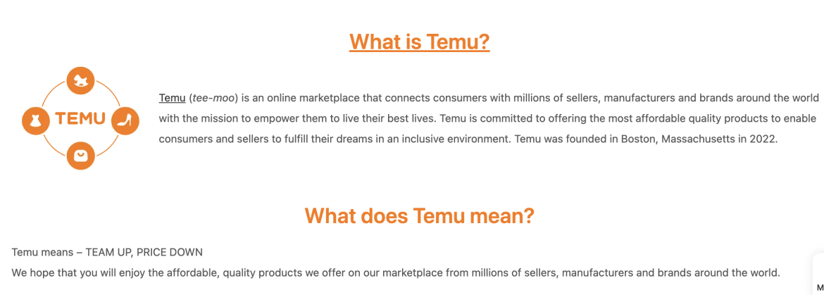 cosa significa temu