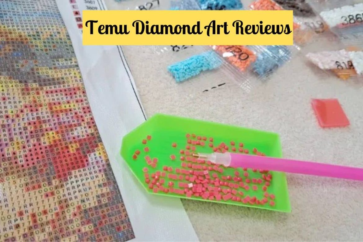 Avaliações do Temu Diamond Art